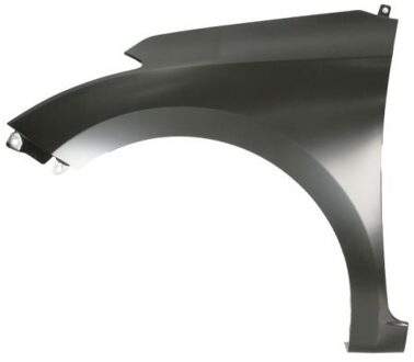 Hyundai Spatbord 6504043130311P