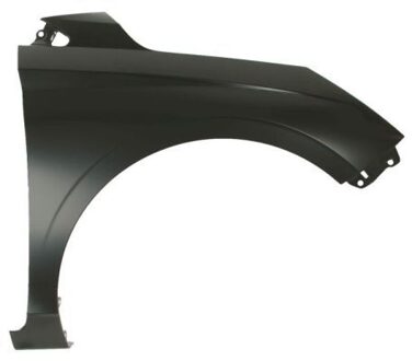 Hyundai Spatbord 6504043131312P