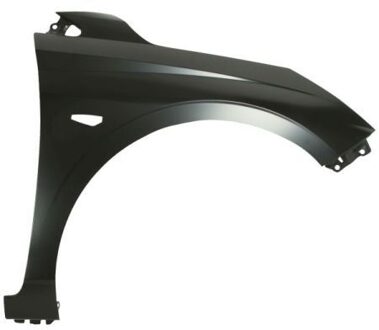 Hyundai Spatbord 6504043131314P