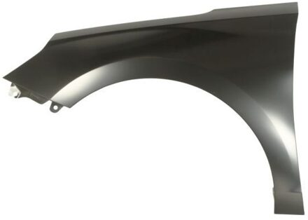 Hyundai Spatbord 6504043137311P