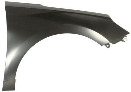 Hyundai Spatbord 6504043137312P