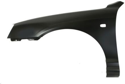 Hyundai Spatbord 6504043163317P