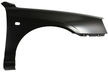 Hyundai Spatbord 6504043163318P