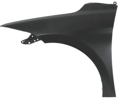 Hyundai Spatbord 6504043172311P