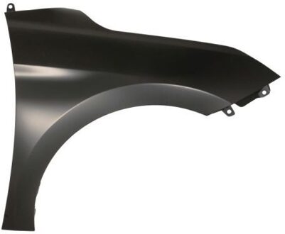 Hyundai Spatbord 6504043173312P