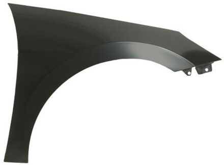 Hyundai Spatbord 6504043174312P