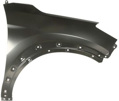 Hyundai Spatbord 6504043177312P