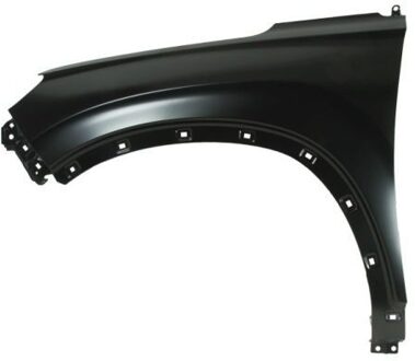 Hyundai Spatbord 6504043183311P