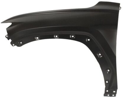 Hyundai Spatbord 6504043187311P