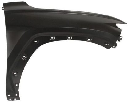 Hyundai Spatbord 6504043187312P