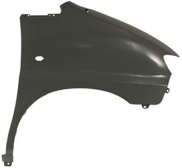 Hyundai Spatbord 6504043191312P
