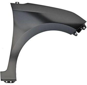 Hyundai Spatbord 6853006