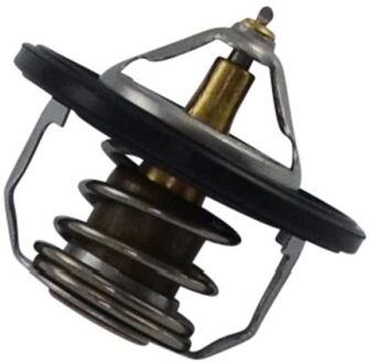 Hyundai Thermostaat, koelvloeistof