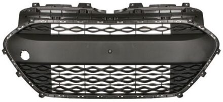 Hyundai Ventilatiegrille, bumper 6502073121990P
