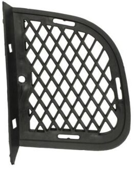 Hyundai Ventilatiegrille, bumper 6502073175913P