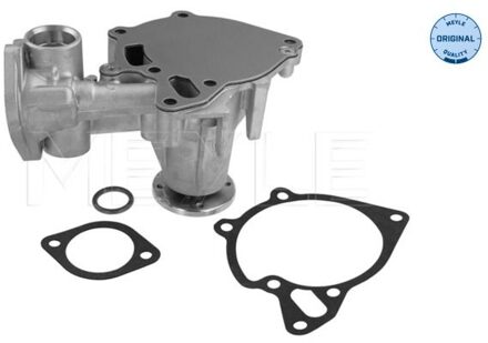 Hyundai Waterpomp 32132200001