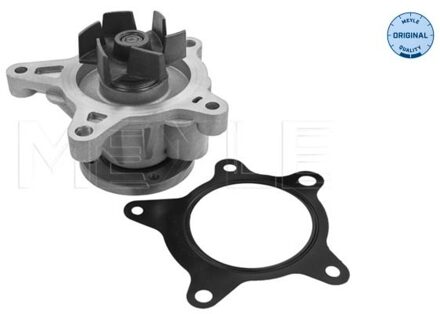 Hyundai Waterpomp 37132200012