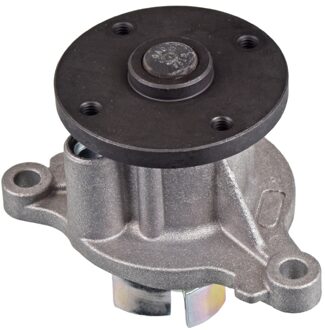 Hyundai waterpomp ADG09190