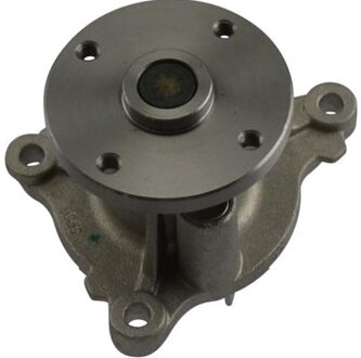 Hyundai Waterpomp HW1070
