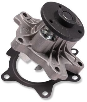 Hyundai Waterpomp P7666
