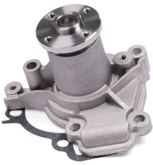 Hyundai Waterpomp P7971