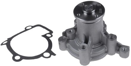 Hyundai Waterpomp