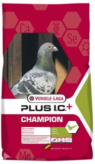 i.c.+ champion plus sport