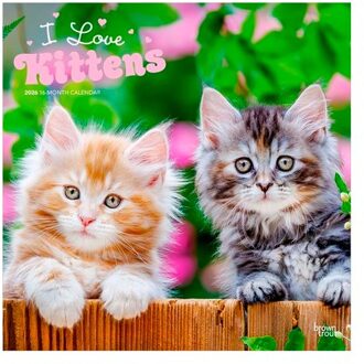I Love Kittens - Ich Liebe Katzenbabys 2026 - 16-Monatskalender - Browntrout Wandkalender - Browntrout Publishers