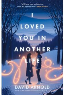 I Loved You In Another Life - David Arnold