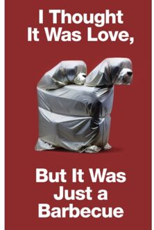 I Thought It Was Love, But It Was Just A Barbecue - SerraGlia