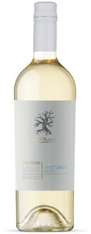 I Tratturi Salento Pinot Grigio