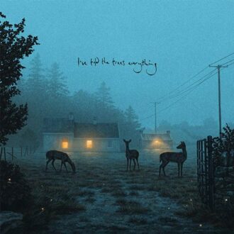 I've Told The Trees Everything - Dermot Kennedy