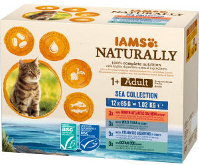 Iams Adult Sea Collection - Kattenvoer - 12x85 gram - Zalm - Tonijn - 1,02 kg