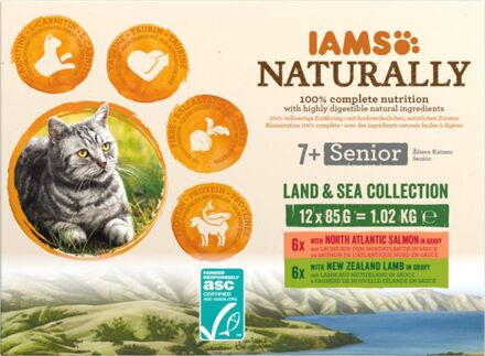 Iams Kattenvoer - Zalm - 0,012 kg