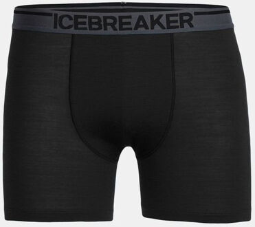 Icebreaker Anatomica Zwemboxers Heren, black Maat L