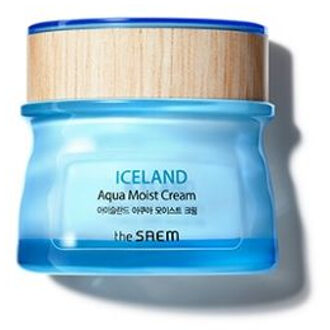Iceland Aqua Moist Cream 60ml