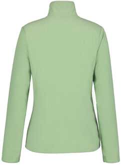 Icepeak Dames Icepeak Berwick Full-Zip Fleece in Groen - maat 2XL