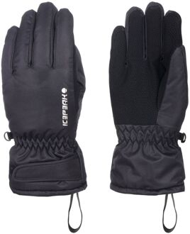 Icepeak Hayden Skihandschoenen Junior - L