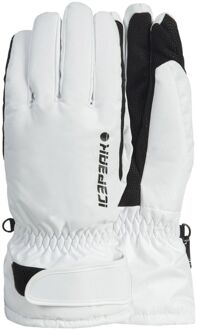 Icepeak Hayden Skihandschoenen Senior