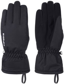 Icepeak Hayden Skihandschoenen Senior