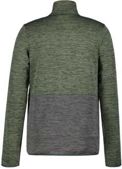 Icepeak Heren Icepeak Magness Full-Zip Fleece in Groen