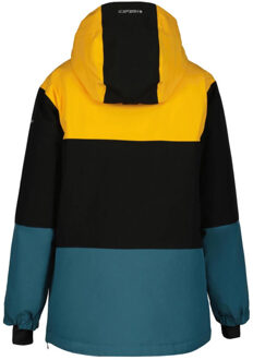 Icepeak Langley skijas Groen - 176