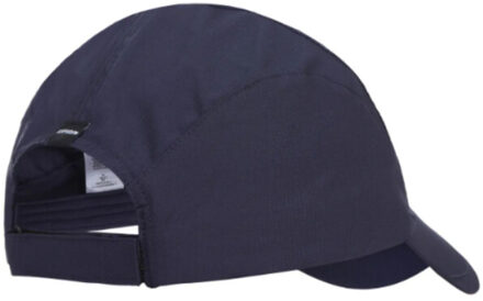 Icepeak Pet / cap Blauw - S