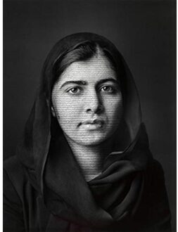 Icons And Identities - Rab MacGibbon