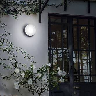 Ideal Lux buitenwandlamp Urano antraciet aluminium Ø 16 cm