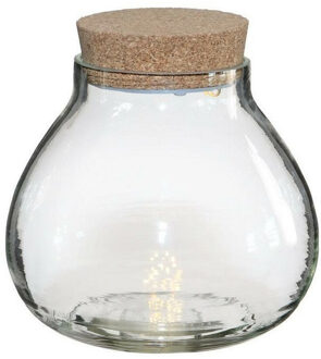 Ideas 4 Seasons Pot/vaas van glas voor planten ecosysteem - deksel met LED verlichting - D15 x H14 cm