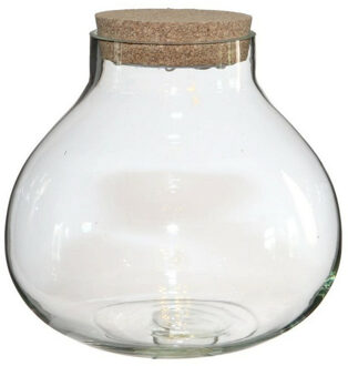 Ideas 4 Seasons Pot/vaas van glas voor planten ecosysteem - deksel met LED verlichting - D20 x H20 cm - Vazen Transparant