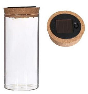 Ideas 4 Seasons Pot/vaas van glas voor planten ecosysteem - deksel met LED verlichting - D8 x H16 cm