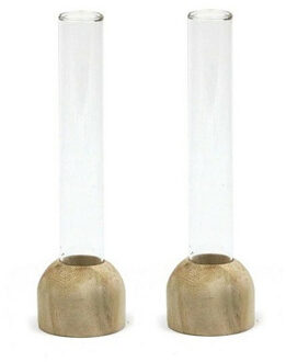 Ideas 4 Seasons Stekvaasje/bloemenvaasje reageerbuis model - 2x - D2 x H15 cm - op voet van hout