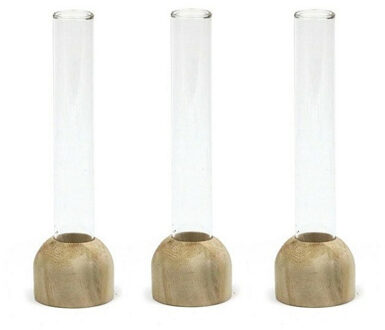 Ideas 4 Seasons Stekvaasje/bloemenvaasje reageerbuis model - 6x - D2 x H15 cm - op voet van hout